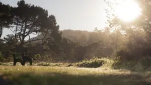 pic-for-news-resized